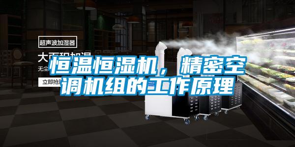 恒溫恒濕機(jī)，精密空調(diào)機(jī)組的工作原理