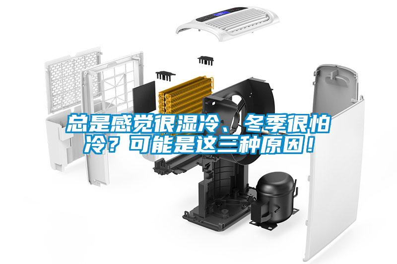 總是感覺很濕冷、冬季很怕冷？可能是這三種原因！