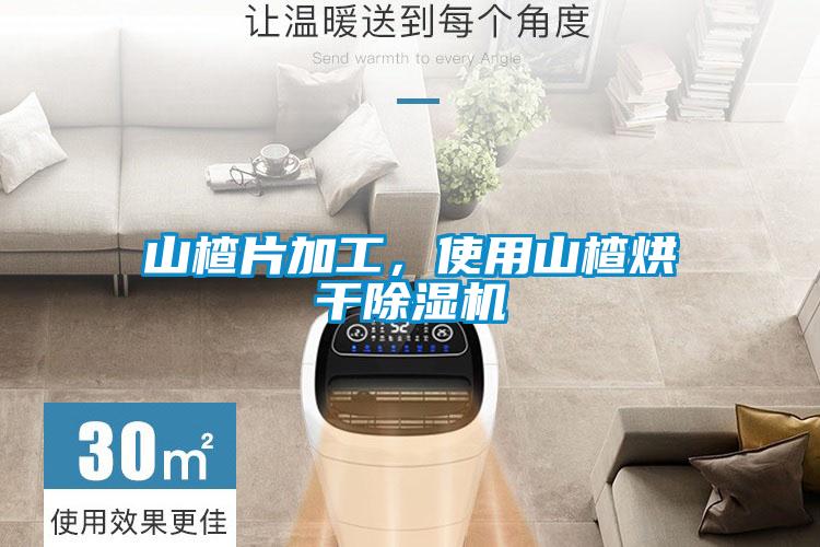 山楂片加工，使用山楂烘干除濕機