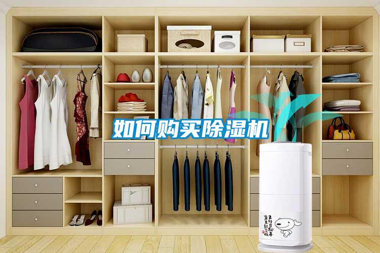 如何購(gòu)買除濕機(jī)