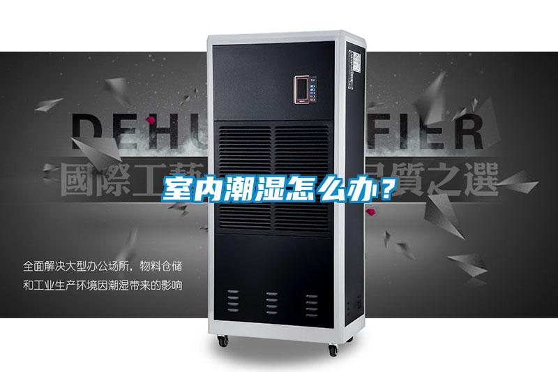 室內潮濕怎么辦？