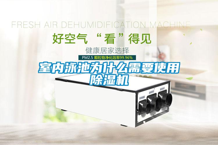 室內泳池為什么需要使用除濕機