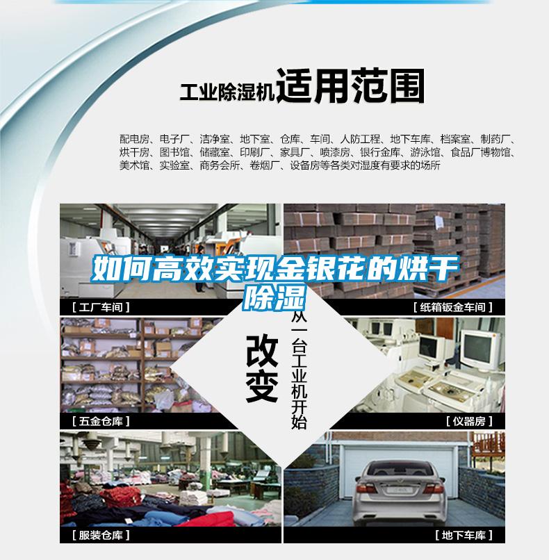 如何高效實現金銀花的烘干除濕