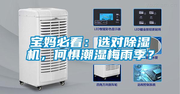 寶媽必看：選對(duì)除濕機(jī)，何懼潮濕梅雨季？
