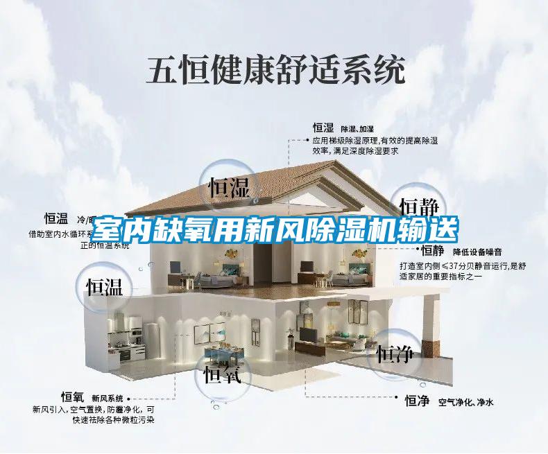 室內缺氧用新風除濕機輸送