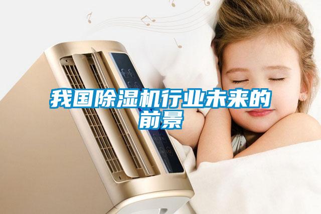 我國除濕機(jī)行業(yè)未來的前景