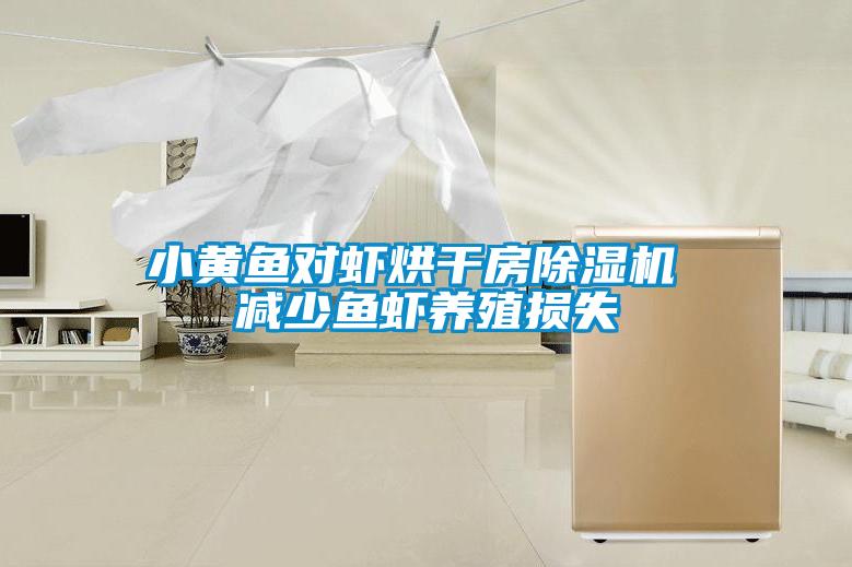 小黃魚對蝦烘干房除濕機(jī) 減少魚蝦養(yǎng)殖損失