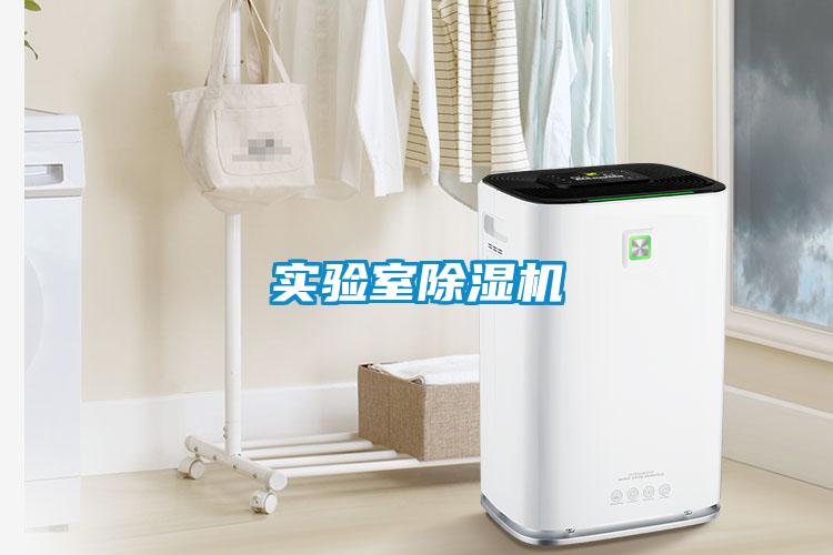實驗室除濕機(jī)