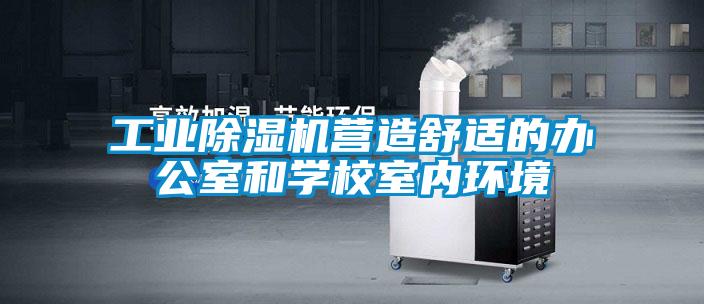 工業除濕機營造舒適的辦公室和學校室內環境
