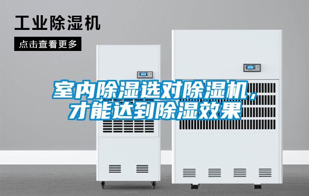 室內除濕選對除濕機，才能達到除濕效果