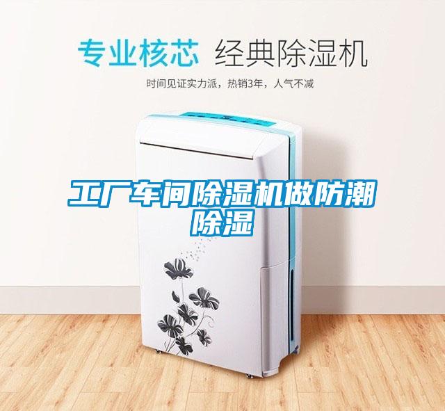 工廠車間除濕機做防潮除濕