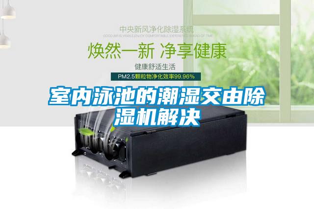 室內泳池的潮濕交由除濕機解決