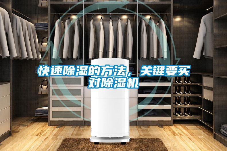 快速除濕的方法，關鍵要買對除濕機