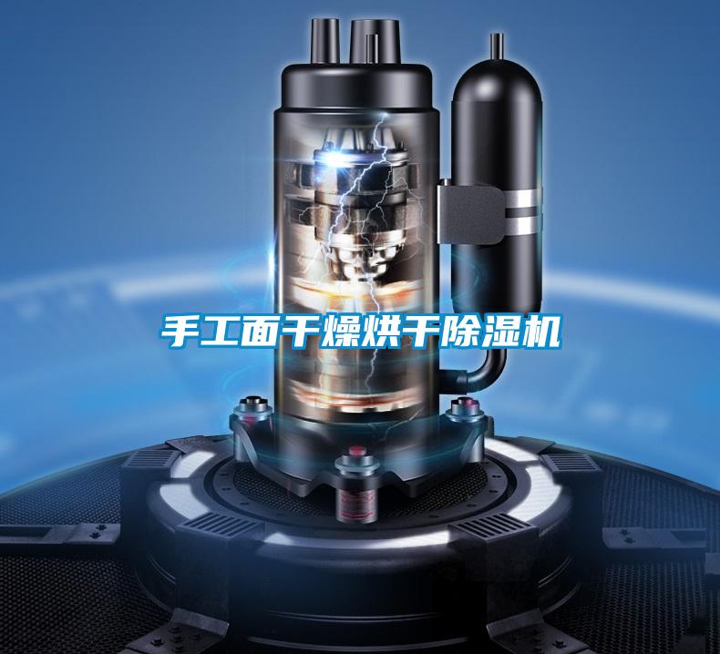手工面干燥烘干除濕機
