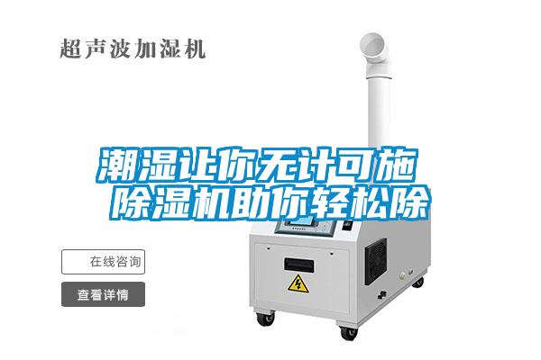 潮濕讓你無計(jì)可施 除濕機(jī)助你輕松除