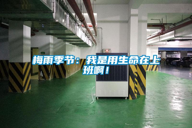 梅雨季節(jié)：我是用生命在上班啊！