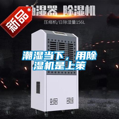 潮濕當下，用除濕機是上策