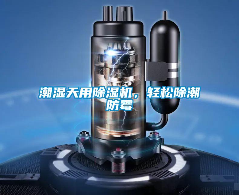 潮濕天用除濕機(jī)，輕松除潮防霉