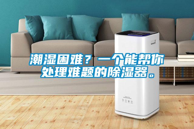 潮濕困難？一個(gè)能幫你處理難題的除濕器。