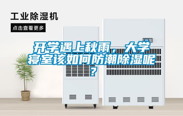 開學遇上秋雨，大學寢室該如何防潮除濕呢？