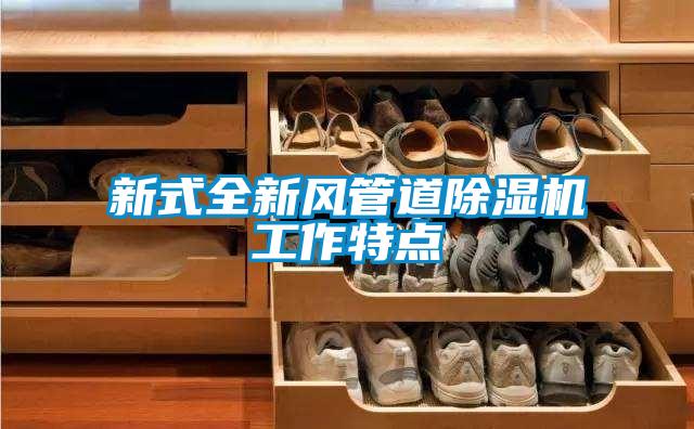 新式全新風管道除濕機工作特點