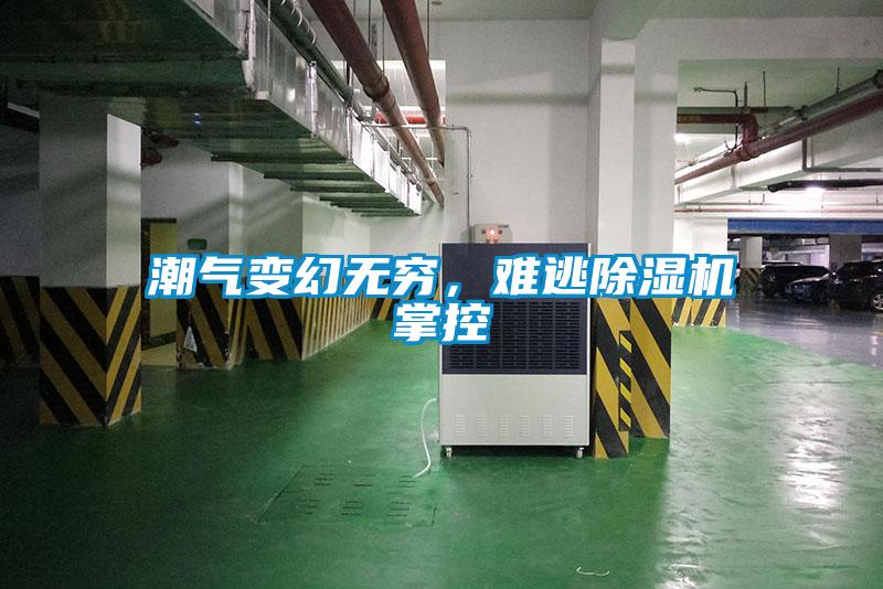 潮氣變幻無窮，難逃除濕機(jī)掌控
