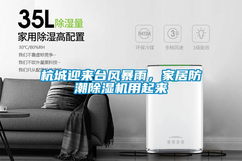 杭城迎來臺風暴雨,家居防潮除濕機用起來
