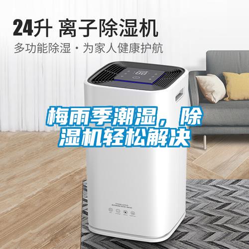 梅雨季潮濕，除濕機輕松解決