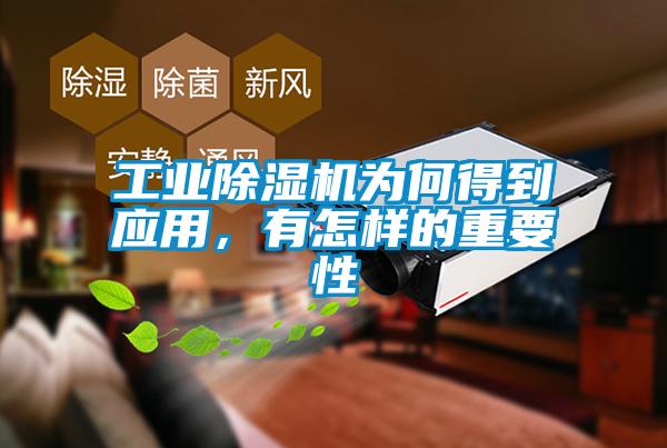 工業除濕機為何得到應用，有怎樣的重要性