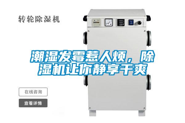潮濕發霉惹人煩，除濕機讓你靜享干爽