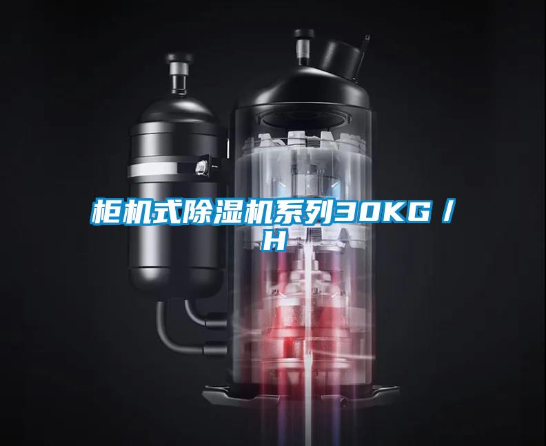 柜機式除濕機系列30KG／H