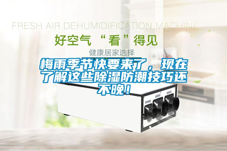 梅雨季節(jié)快要來了，現在了解這些除濕防潮技巧還不晚！