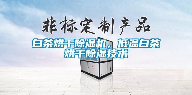 白茶烘干除濕機，低溫白茶烘干除濕技術