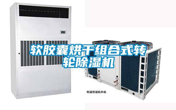 軟膠囊烘干組合式轉(zhuǎn)輪除濕機