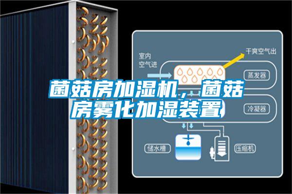 菌菇房加濕機(jī)，菌菇房霧化加濕裝置