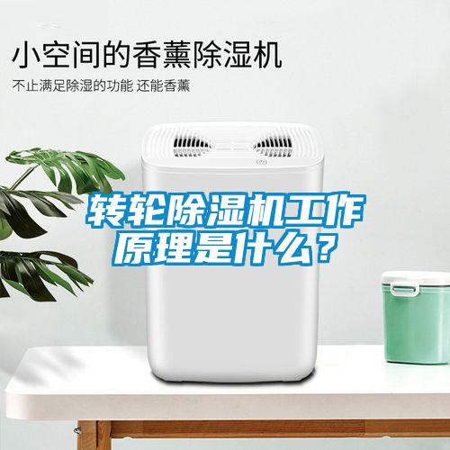 轉(zhuǎn)輪除濕機工作原理是什么？