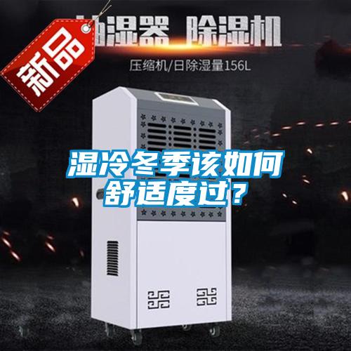 濕冷冬季該如何舒適度過(guò)？