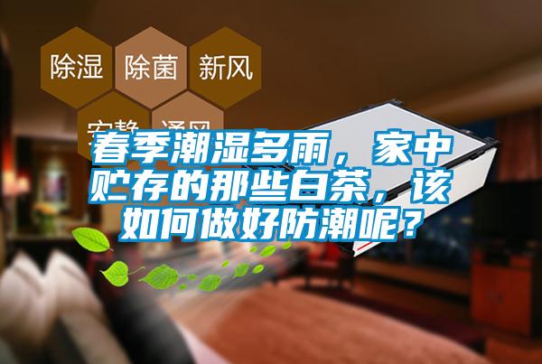 春季潮濕多雨，家中貯存的那些白茶，該如何做好防潮呢？