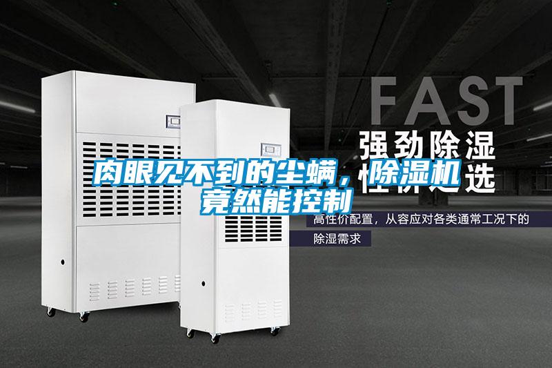 肉眼見不到的塵螨，除濕機竟然能控制