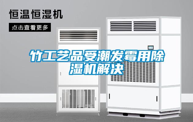 竹工藝品受潮發霉用除濕機解決