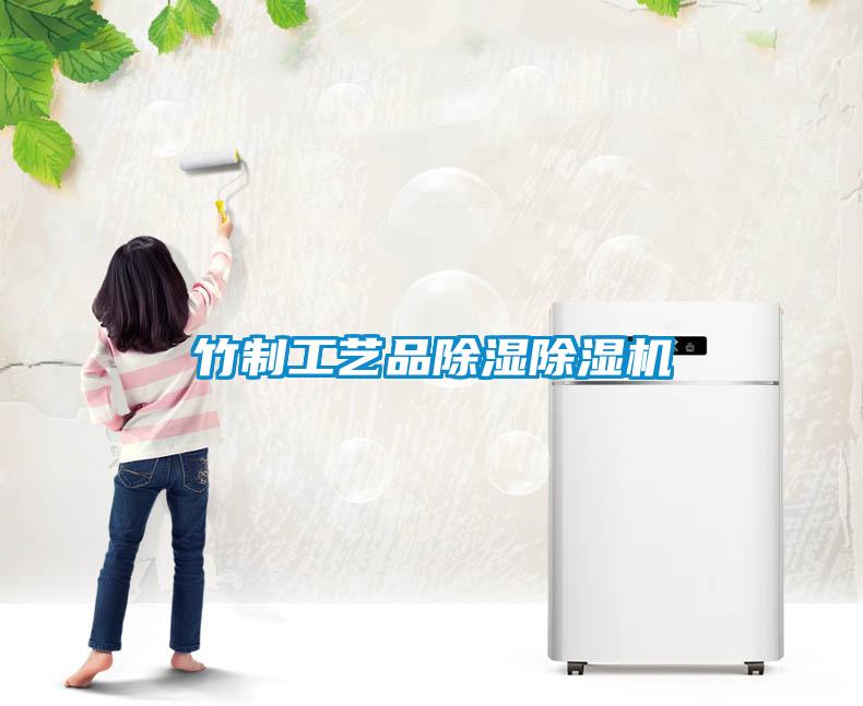 竹制工藝品除濕除濕機