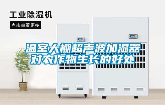溫室大棚超聲波加濕器對(duì)農(nóng)作物生長的好處