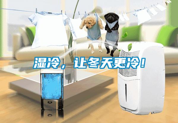 濕冷，讓冬天更冷！