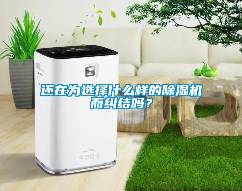 還在為選擇什么樣的除濕機而糾結嗎？