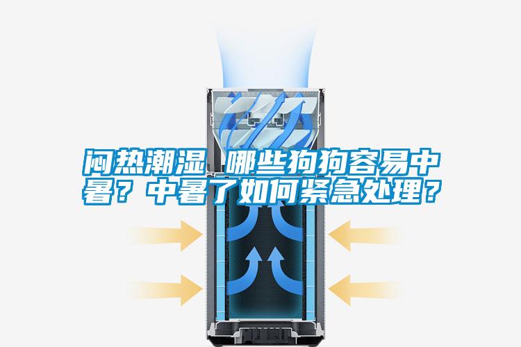 悶熱潮濕 哪些狗狗容易中暑？中暑了如何緊急處理？