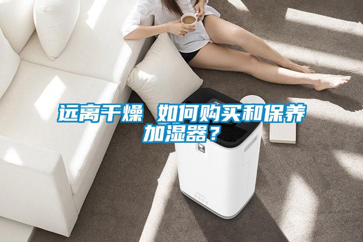 遠離干燥 如何購買和保養加濕器？