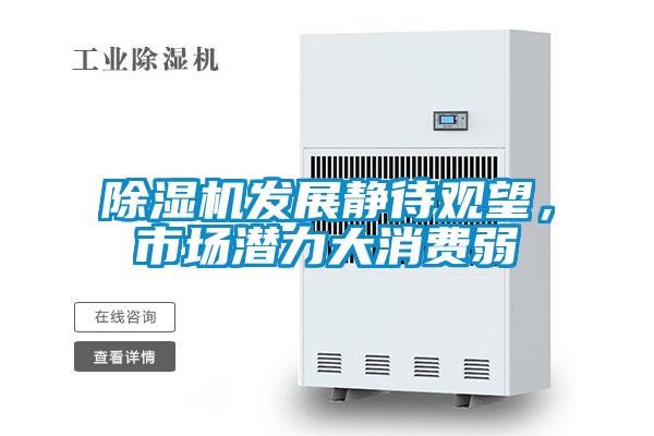 除濕機發展靜待觀望，市場潛力大消費弱