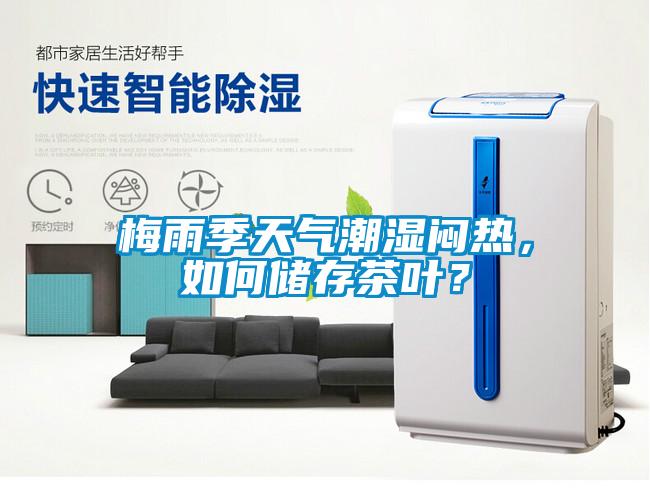 梅雨季天氣潮濕悶熱，如何儲存茶葉？