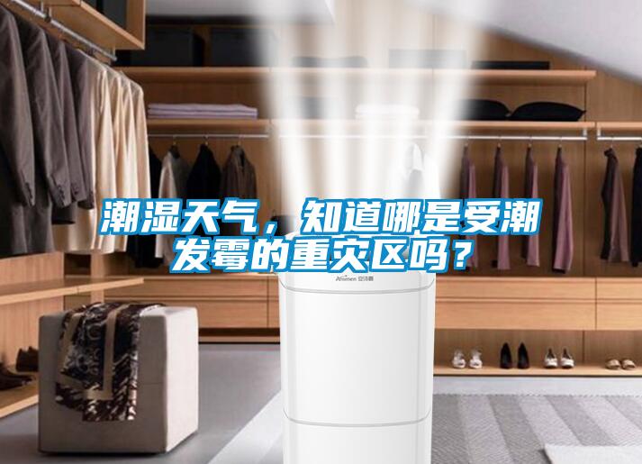 潮濕天氣，知道哪是受潮發霉的重災區嗎？