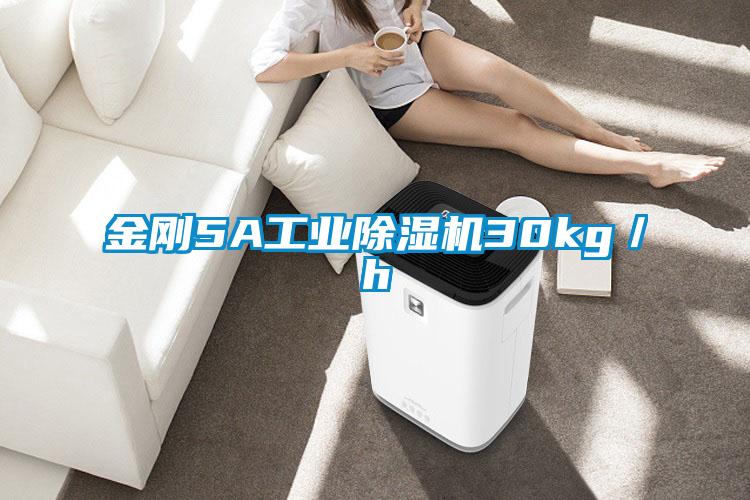 金剛5A工業(yè)除濕機(jī)30kg／h